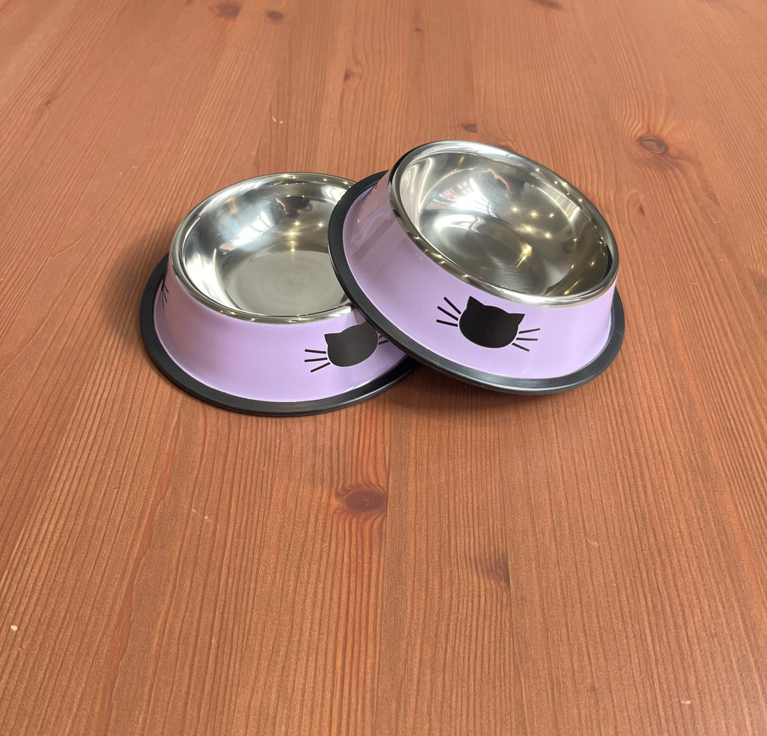 Gamelle acier inoxydable pour chat
