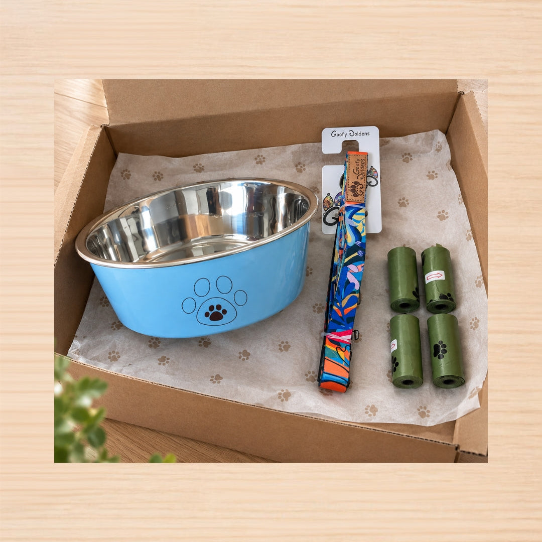 🐶 Pack Canin — L’essentiel