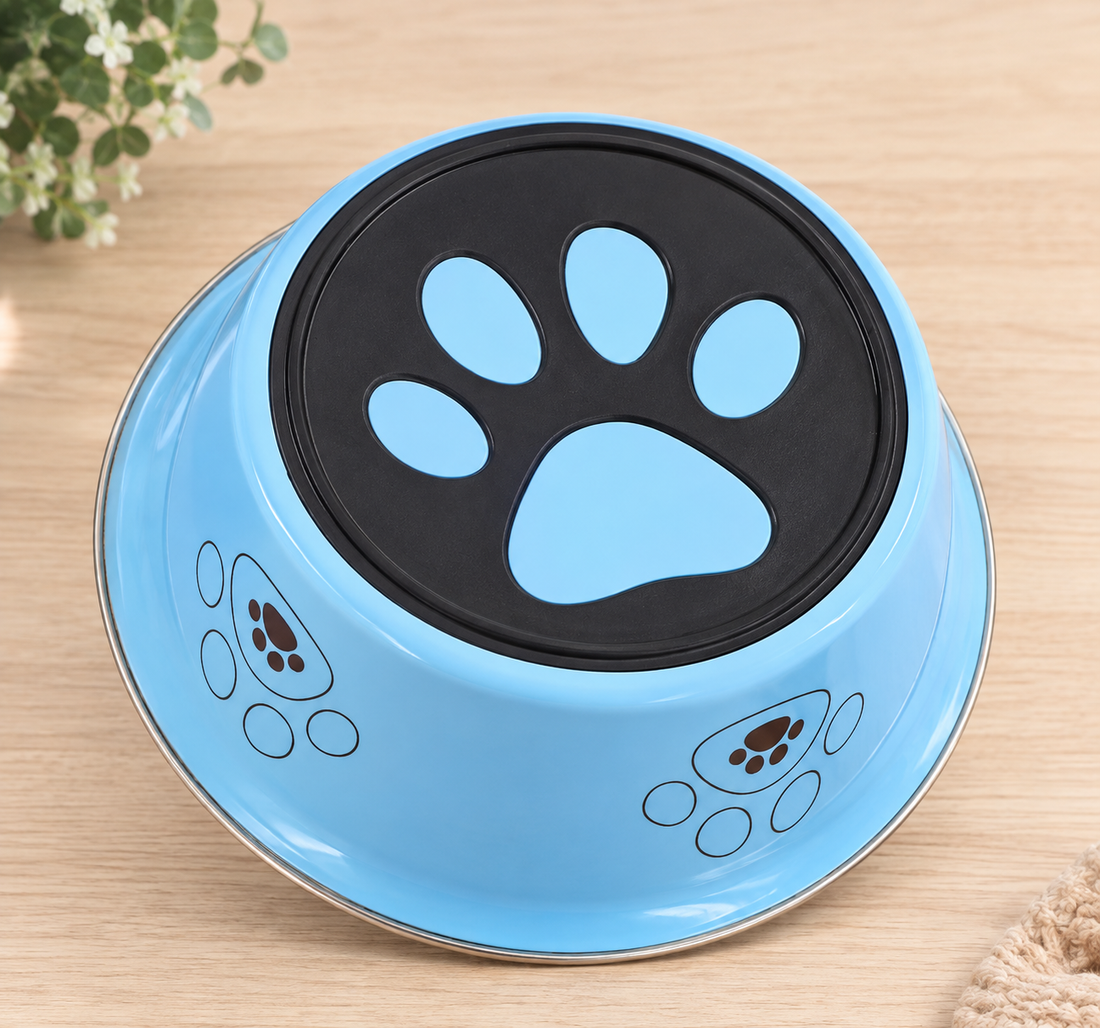 🐶 Pack Canin — L’essentiel