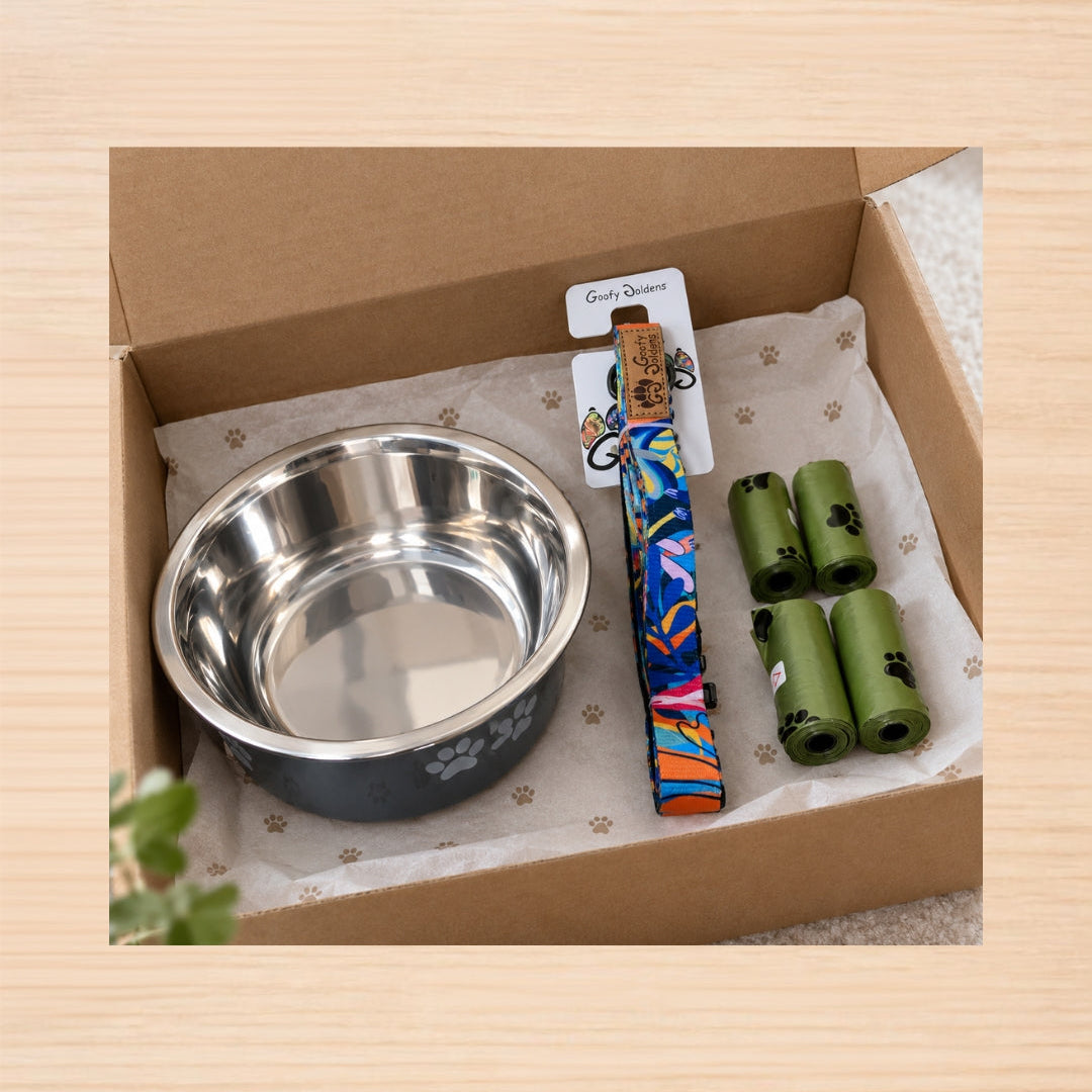 🐶 Pack Canin — L’essentiel
